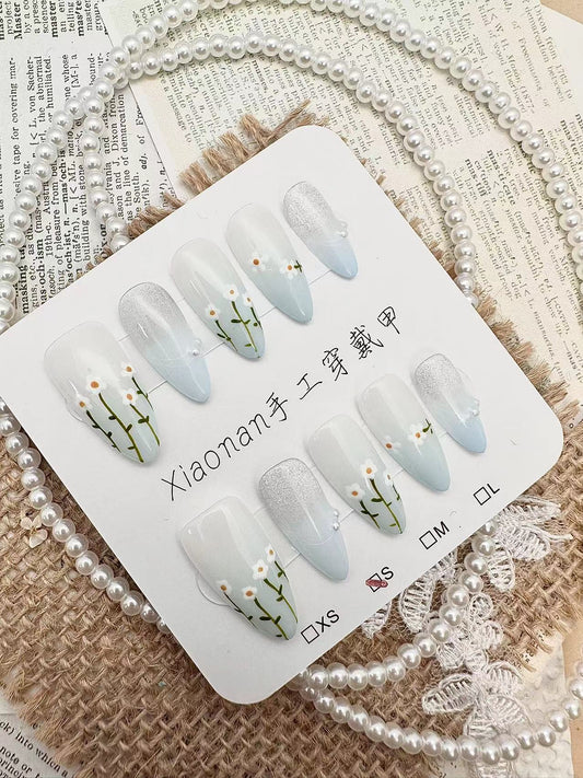 A229  晨光小雛菊